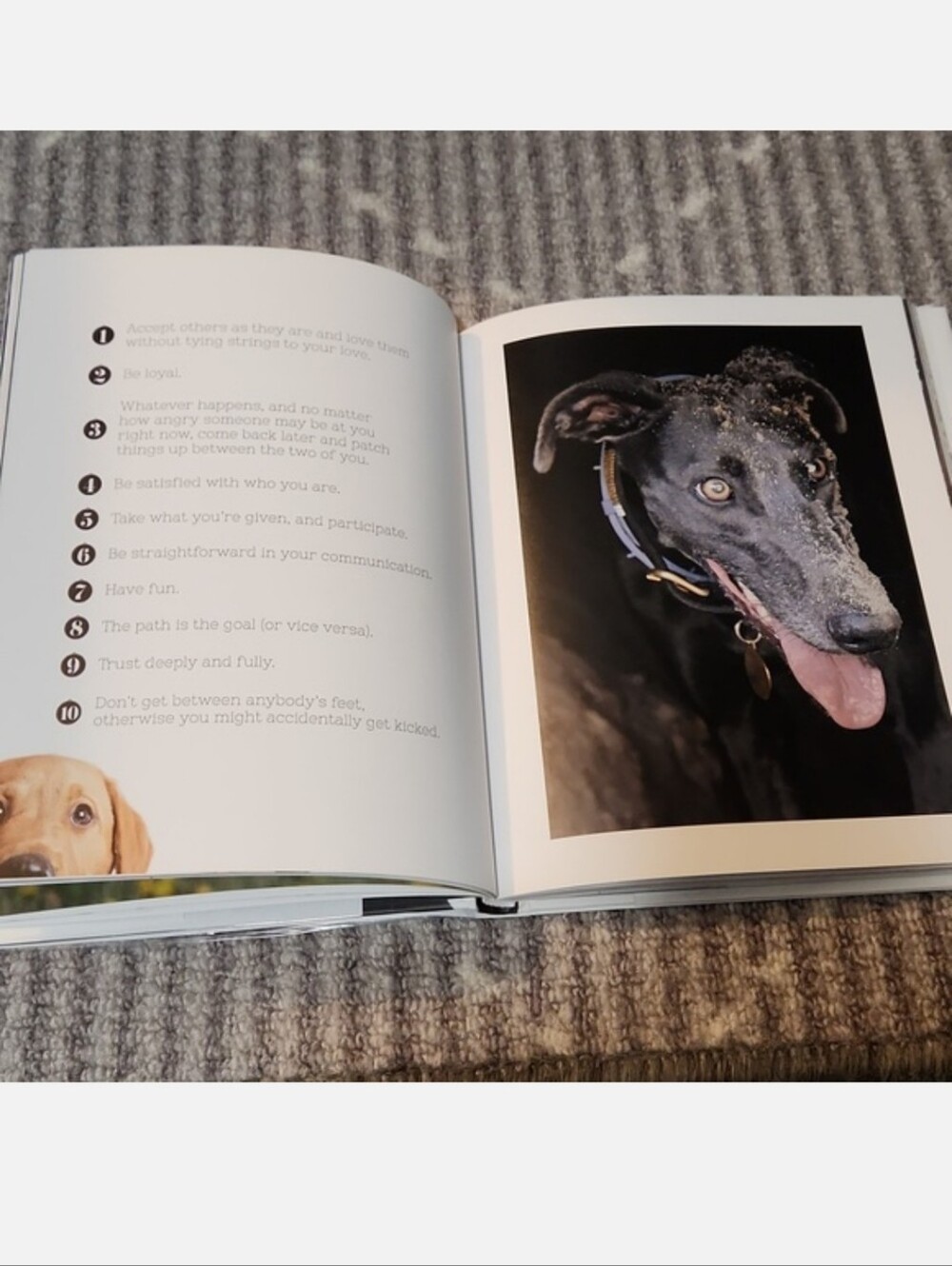 For The Love Of Dogs Book by Katharina von der Leyen - Picture 11 of 17